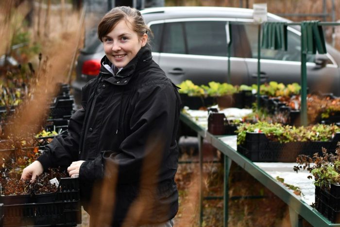 Cassandra Wikström förverkligade sin dröm och blev trädgårdsentreprenör